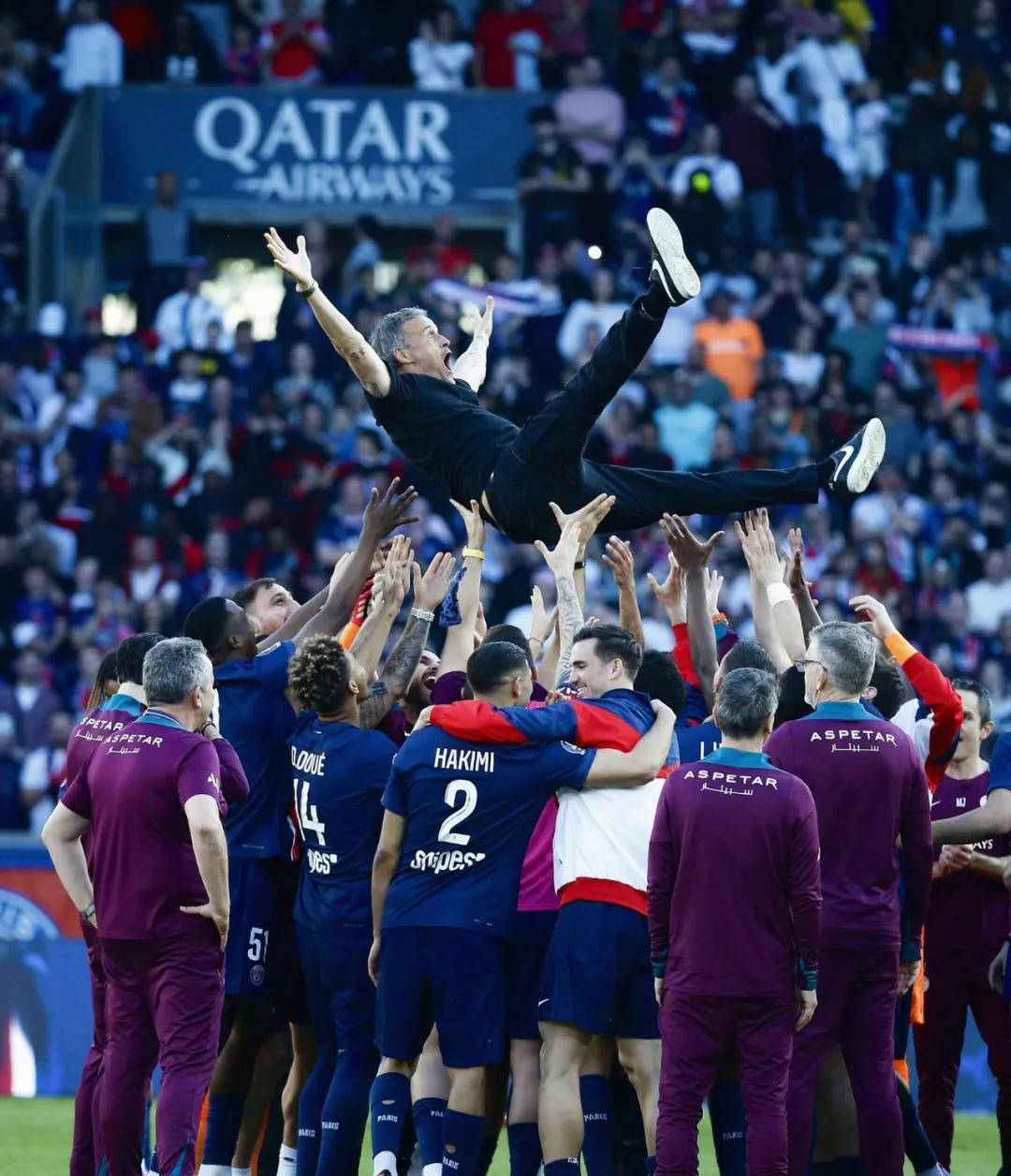 包含Ming在法国队比赛中回归赛场，挺进下一轮引发热议！的词条